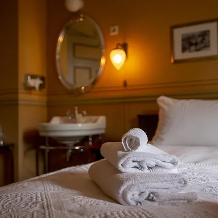 Dalen Hotel فندق